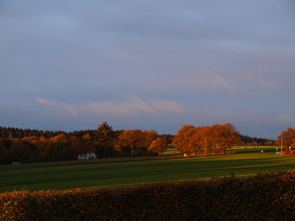 Herbstlaune im Hotel Haus Seeblick